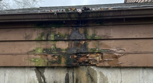 Exterior Stain Damage