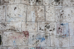 The Hidden Dangers of Dirty Exterior Surfaces (And How to Prevent Them)